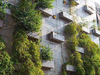 Steinfassade mit Balkonen und grüner Bepflanzung